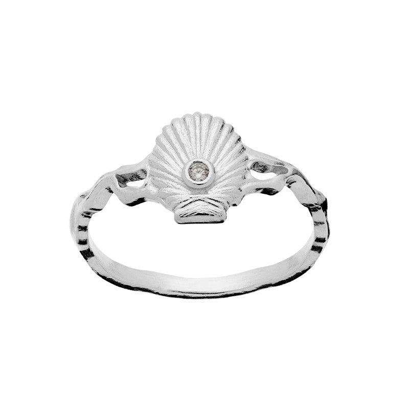 Myra sølvring med champagnefarvet zirkonia og muslingemotiv fra Maanesten Aphrodite kollektion.